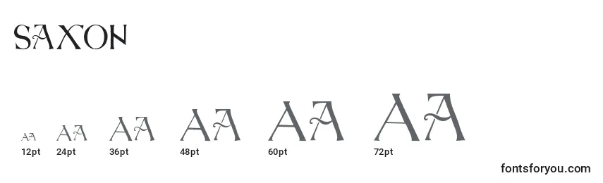 Размеры шрифта Saxon