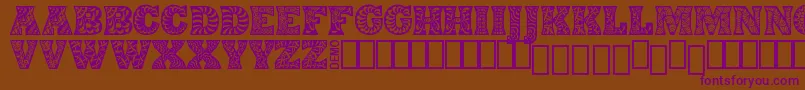 DigidonDemo Font – Purple Fonts on Brown Background