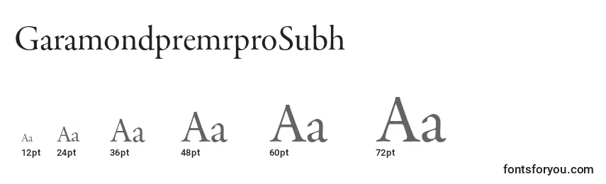 Размеры шрифта GaramondpremrproSubh