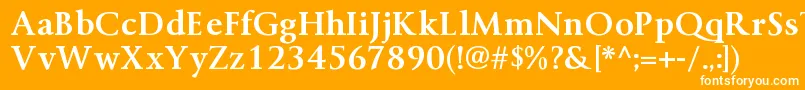 フォントByingtonrgBold – オレンジの背景に白い文字