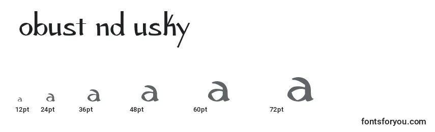 Размеры шрифта RobustAndHusky