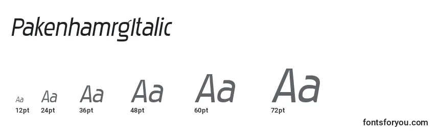 Размеры шрифта PakenhamrgItalic