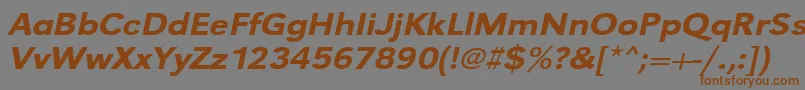 UrwgrotesktmedextwidOblique Font – Brown Fonts on Gray Background