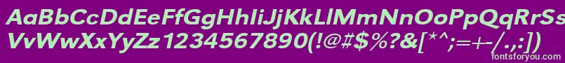 UrwgrotesktmedextwidOblique Font – Green Fonts on Purple Background