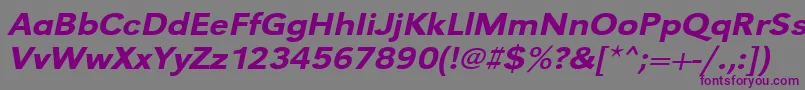 フォントUrwgrotesktmedextwidOblique – 紫色のフォント、灰色の背景