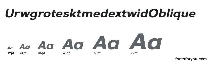 Размеры шрифта UrwgrotesktmedextwidOblique