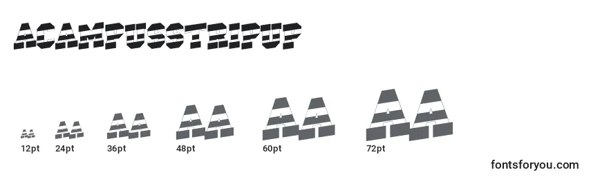 Размеры шрифта ACampusstripup