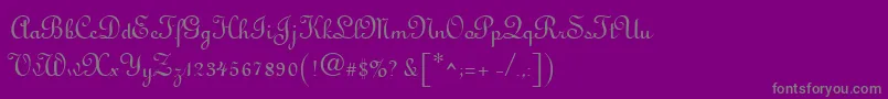 Antigua Font – Gray Fonts on Purple Background