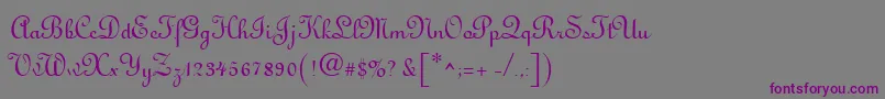 Antigua Font – Purple Fonts on Gray Background