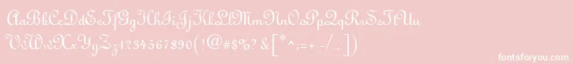 Antigua Font – White Fonts on Pink Background