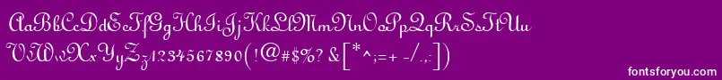 Antigua Font – White Fonts on Purple Background