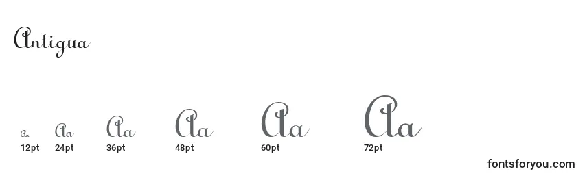 Antigua Font Sizes