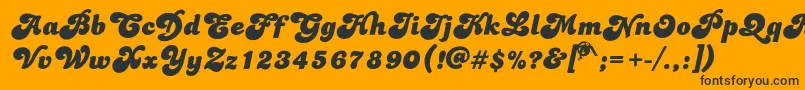 Dolphins Font – Black Fonts on Orange Background
