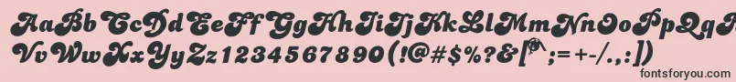 Dolphins Font – Black Fonts on Pink Background