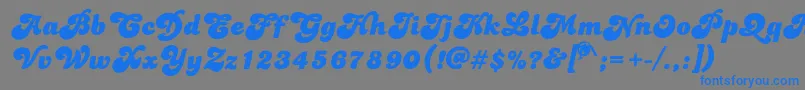 Dolphins-Schriftart – Blaue Schriften auf grauem Hintergrund