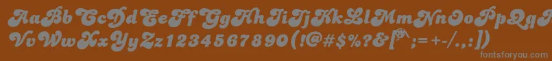 Dolphins Font – Gray Fonts on Brown Background