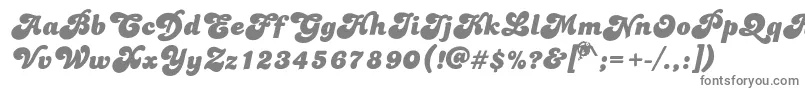 Dolphins Font – Gray Fonts on White Background