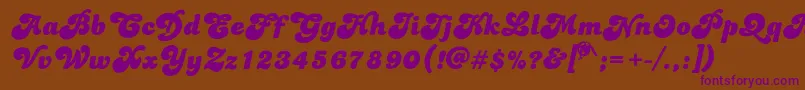 Dolphins Font – Purple Fonts on Brown Background