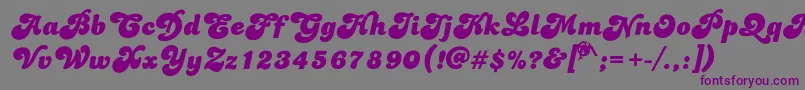 Dolphins Font – Purple Fonts on Gray Background