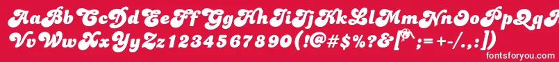 Dolphins Font – White Fonts on Red Background