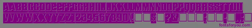 ReliefinreverseRegular Font – Purple Fonts on Gray Background