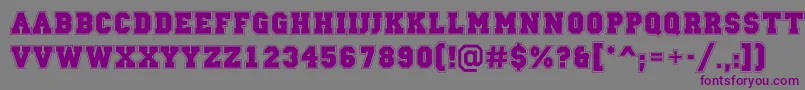 Шрифт ACampusgravBold – фиолетовые шрифты на сером фоне