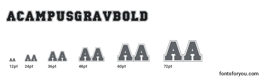 ACampusgravBold Font Sizes