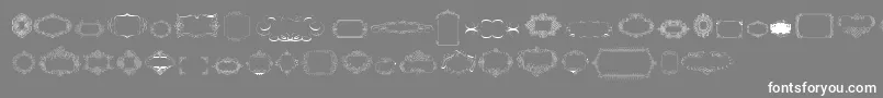 フォントCalligraphicFramesSoftTwo – 灰色の背景に白い文字
