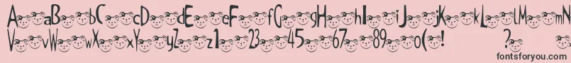 TKuma2Font Font – Black Fonts on Pink Background