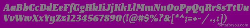Weitere Informationen zur TangerserifnarrowHeavyitalic-Schriftart TangerserifnarrowHeavyitalic-Schriftart – Graue Schriften auf violettem Hintergrund