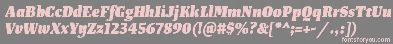 TangerserifnarrowHeavyitalic Font – Pink Fonts on Gray Background
