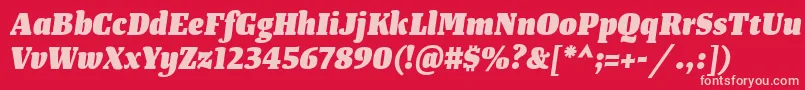 フォントTangerserifnarrowHeavyitalic – 赤い背景にピンクのフォント