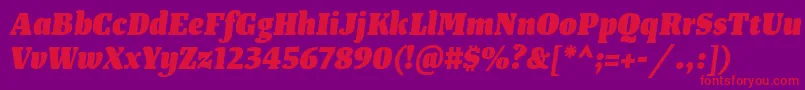 TangerserifnarrowHeavyitalic Font – Red Fonts on Purple Background