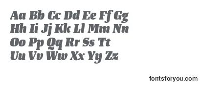 TangerserifnarrowHeavyitalic Font