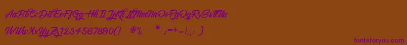 SnowboardingOnly Font – Purple Fonts on Brown Background
