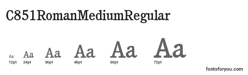 C851RomanMediumRegular Font Sizes