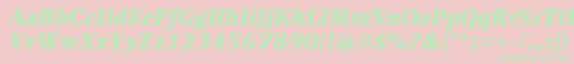 EllingtonmtstdExtraboldit Font – Green Fonts on Pink Background