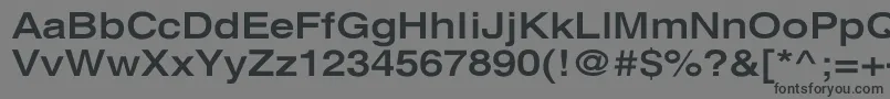 XeroxSansSerifWideBold Font – Black Fonts on Gray Background