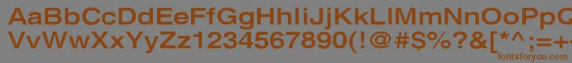 XeroxSansSerifWideBold Font – Brown Fonts on Gray Background