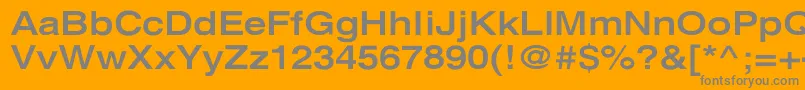 XeroxSansSerifWideBold Font – Gray Fonts on Orange Background