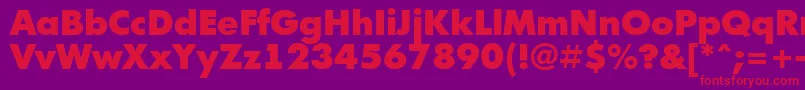 AFuturicablack Font – Red Fonts on Purple Background