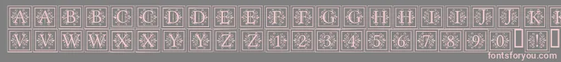 ApexlakeRegular Font – Pink Fonts on Gray Background