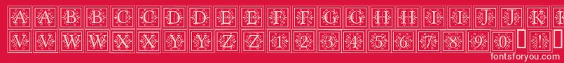 ApexlakeRegular Font – Pink Fonts on Red Background