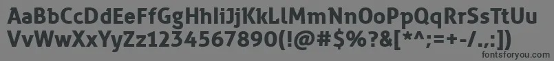 ZwodreiBold Font – Black Fonts on Gray Background