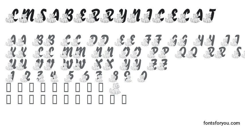 A fonte LmsABerryNiceCat – alfabeto, números, caracteres especiais