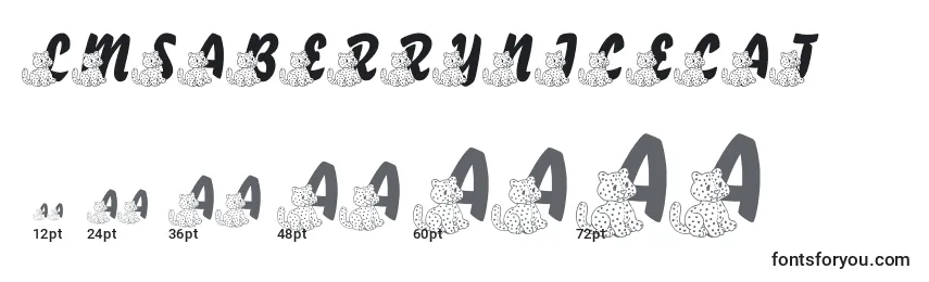 LmsABerryNiceCat Font Sizes