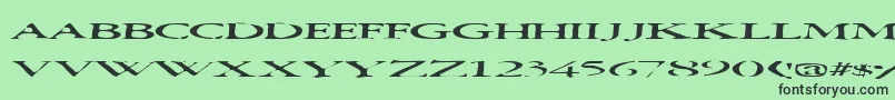 Squish Font – Black Fonts on Green Background