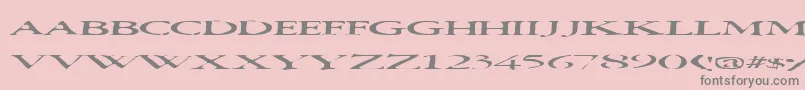 Squish-fontti – harmaat kirjasimet vaaleanpunaisella taustalla
