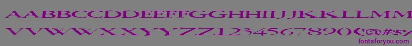 Squish Font – Purple Fonts on Gray Background