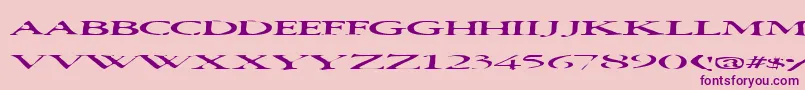 フォントSquish – ピンクの背景に紫のフォント